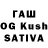 Cannafood конопля YSunflower _05